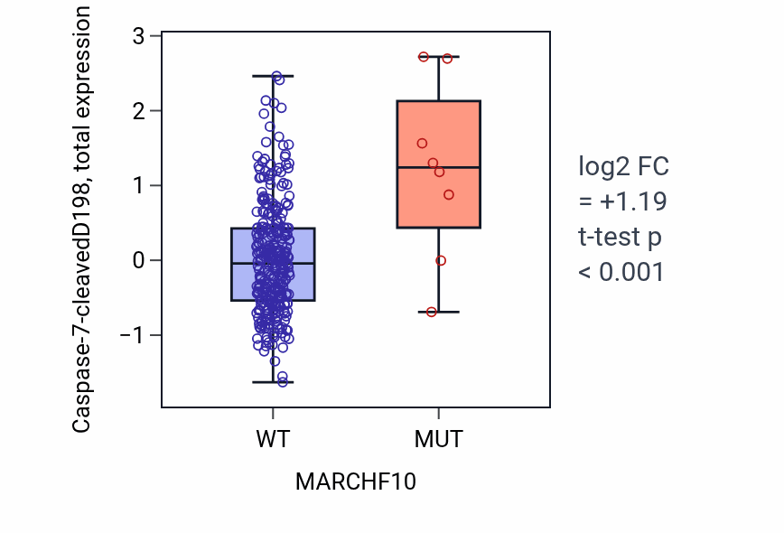 Box plot of Caspase-7-cleavedD198 in MARCHF10-low vs MARCHF10-high samples in LUSC.