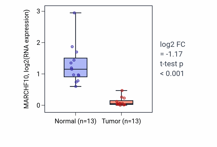 Tumor-vs-normal expression box plot for MARCHF10 RNA in KIRC.