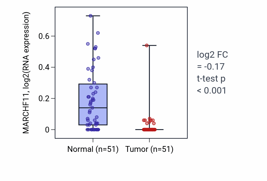 Tumor-vs-normal expression box plot for MARCHF11 in KIRC.