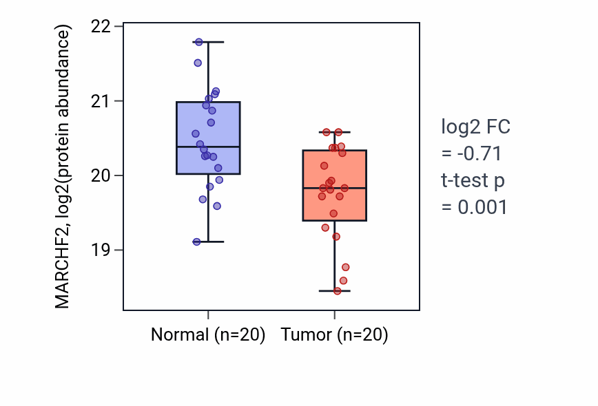 Tumor-vs-normal mass-spec protein box plot for MARCHF2 in COAD.