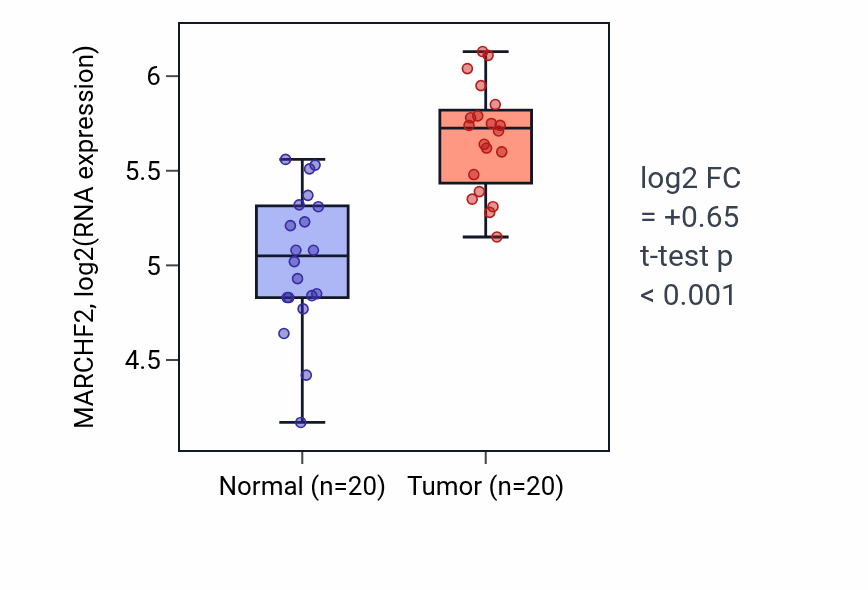 Tumor-vs-normal expression box plot for MARCHF2 RNA in KIRC.
