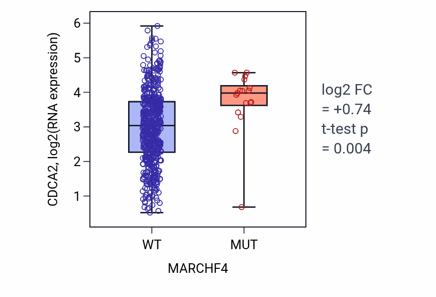 Box plot of CDCA2 in MARCHF4-low vs MARCHF4-high samples in UCEC.