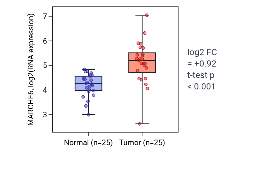 Tumor-vs-normal expression box plot for MARCHF6 in HNSC.