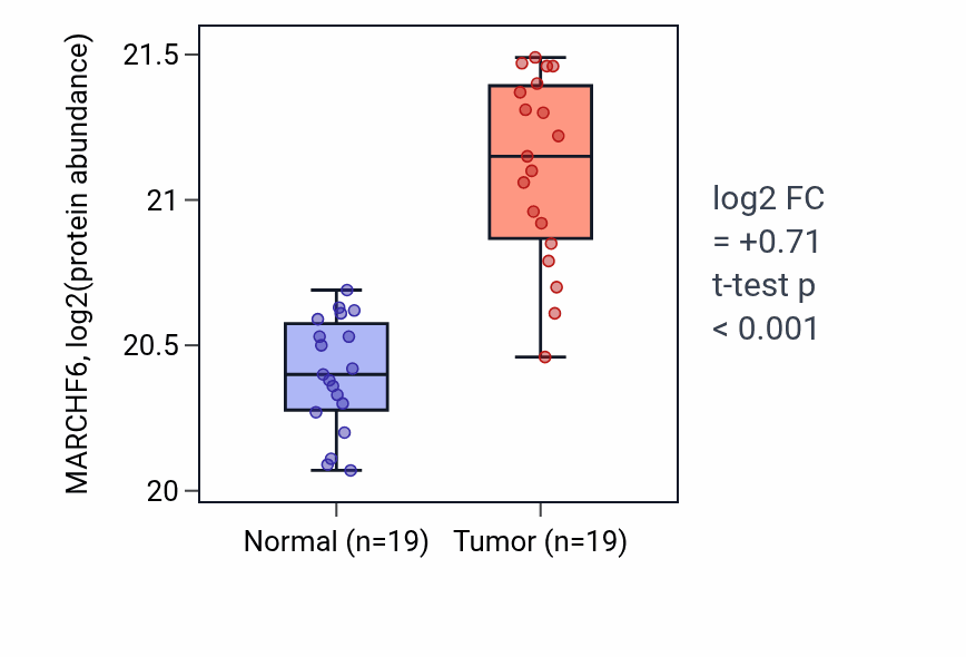 Tumor-vs-normal mass-spec protein box plot for MARCHF6 in LSCC.