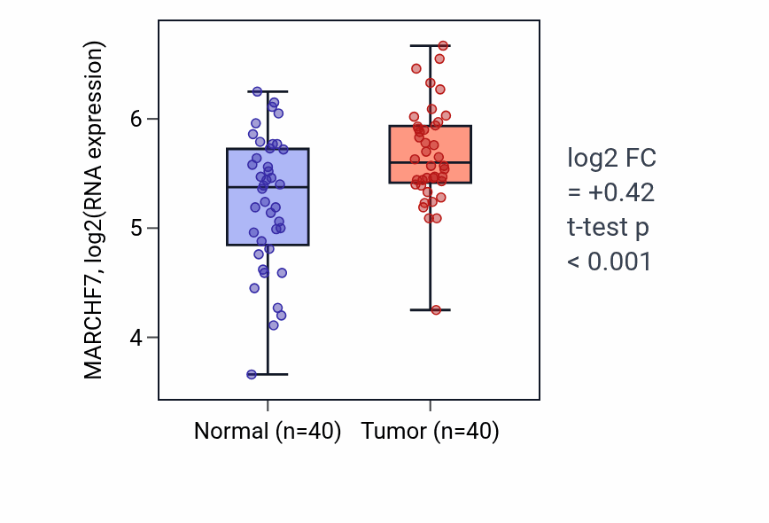 Tumor-vs-normal expression box plot for MARCHF7 RNA in HNSC.