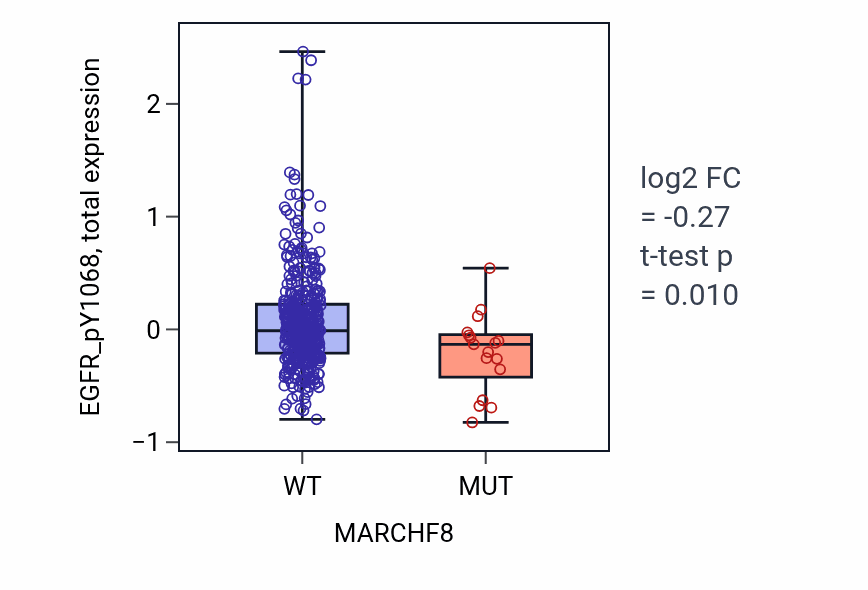 Box plot of EGFR_pY1068 in MARCHF8-low vs MARCHF8-high samples in UCEC.