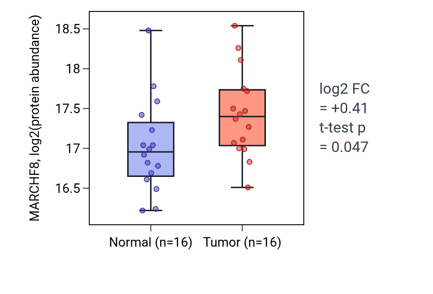 Tumor-vs-normal mass-spec protein box plot for MARCHF8 in LUAD.