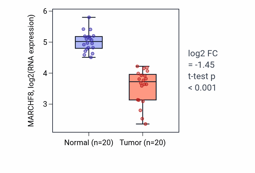 Tumor-vs-normal expression box plot for MARCHF8 RNA in COAD.