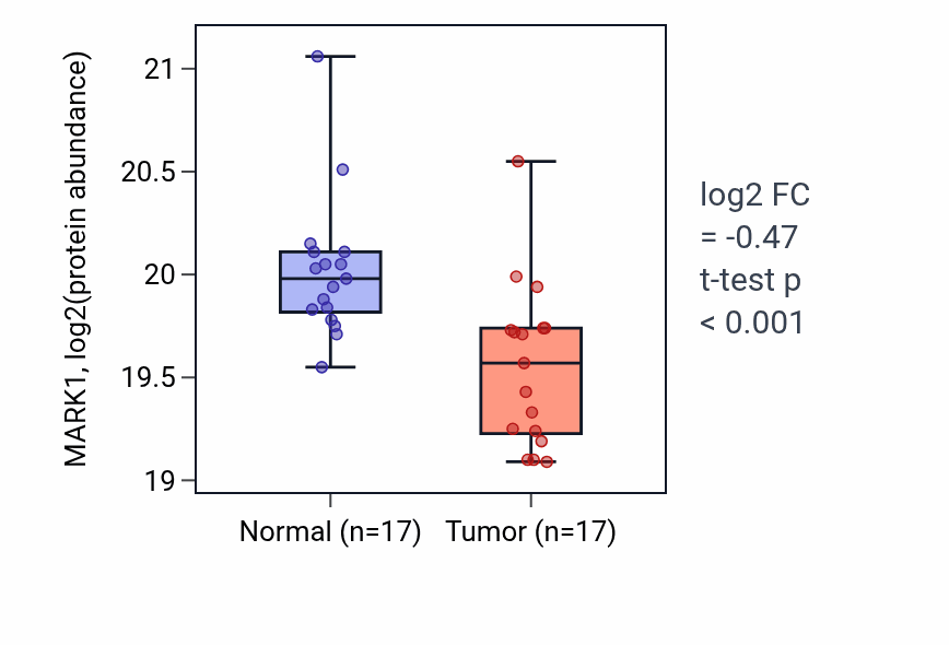 Tumor-vs-normal mass-spec protein box plot for MARK1 in CCRCC.