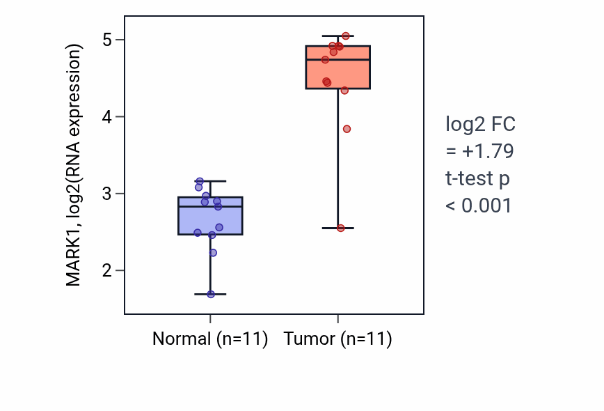 Tumor-vs-normal expression box plot for MARK1 RNA in HNSC.