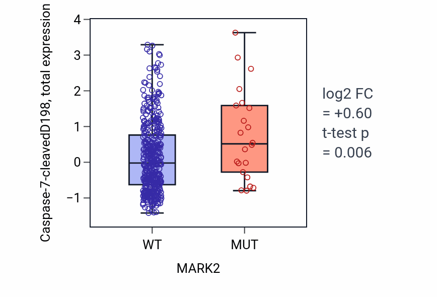 Box plot of Caspase-7-cleavedD198 in MARK2-low vs MARK2-high samples in UCEC.