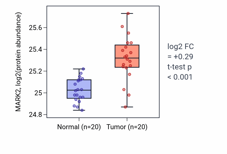 Tumor-vs-normal mass-spec protein box plot for MARK2 in LSCC.