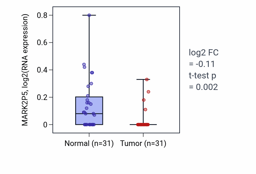 Tumor-vs-normal expression box plot for MARK2P5 in KIRP.