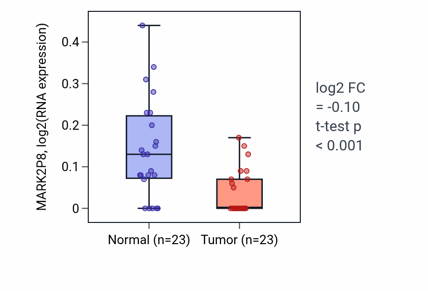 Tumor-vs-normal expression box plot for MARK2P8 in THCA.