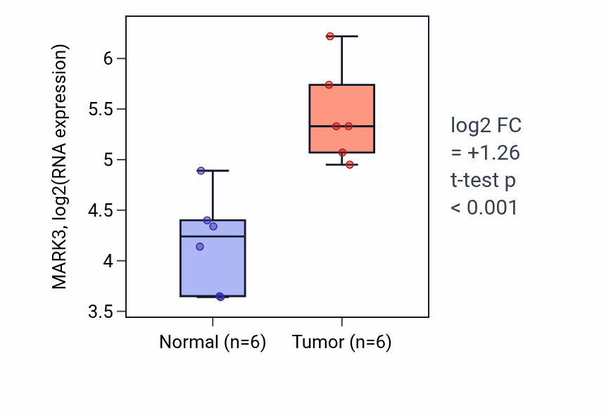 Tumor-vs-normal expression box plot for MARK3 RNA in HNSC.
