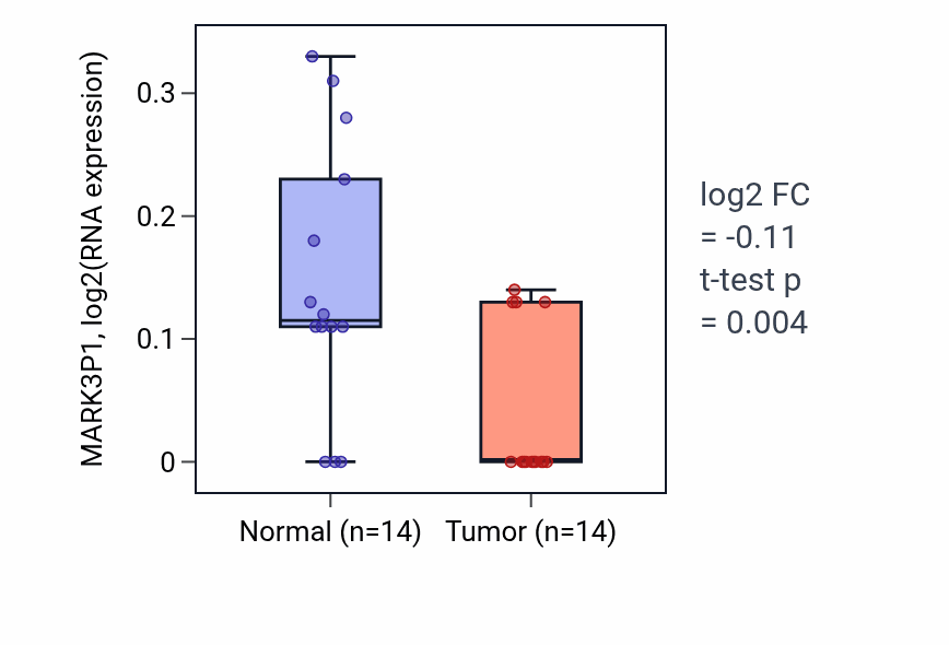 Tumor-vs-normal expression box plot for MARK3P1 in THCA.