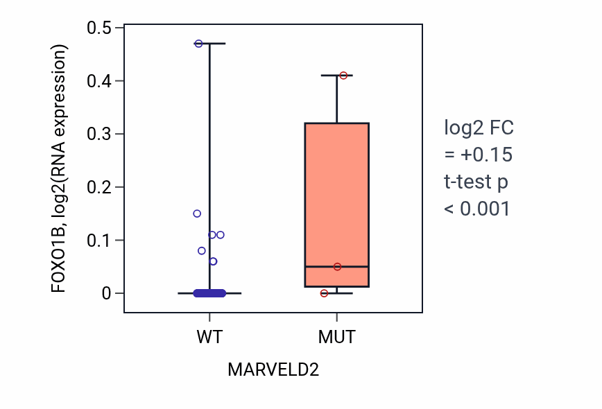 Box plot of FOXO1B in MARVELD2-low vs MARVELD2-high samples in READ.
