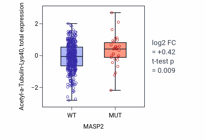 Box plot of Acetyl-a-Tubulin-Lys40 in MASP2-low vs MASP2-high samples in UCEC.