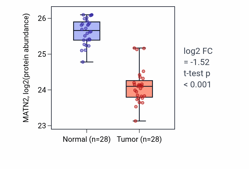 Tumor-vs-normal mass-spec protein box plot for MATN2 in COAD.