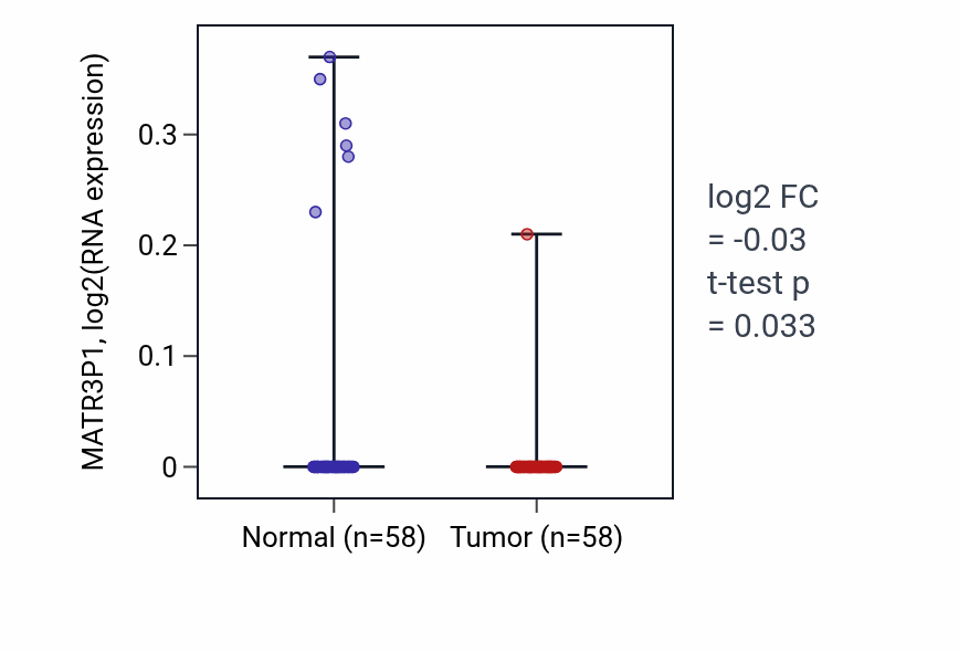 Tumor-vs-normal expression box plot for MATR3P1 in THCA.
