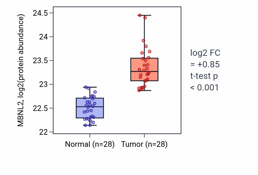 Tumor-vs-normal mass-spec protein box plot for MBNL2 in COAD.