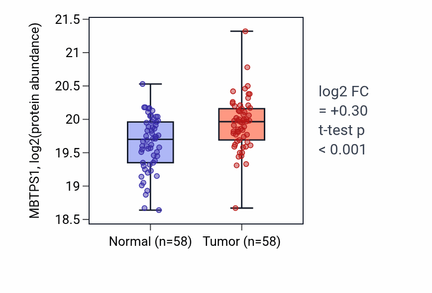 Tumor-vs-normal mass-spec protein box plot for MBTPS1 in LUAD.
