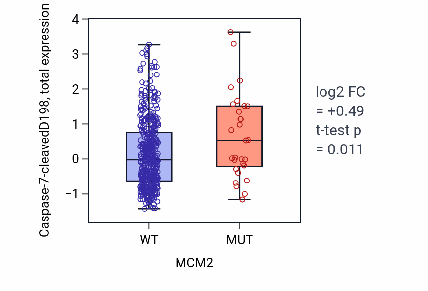 Box plot of Caspase-7-cleavedD198 in MCM2-low vs MCM2-high samples in UCEC.