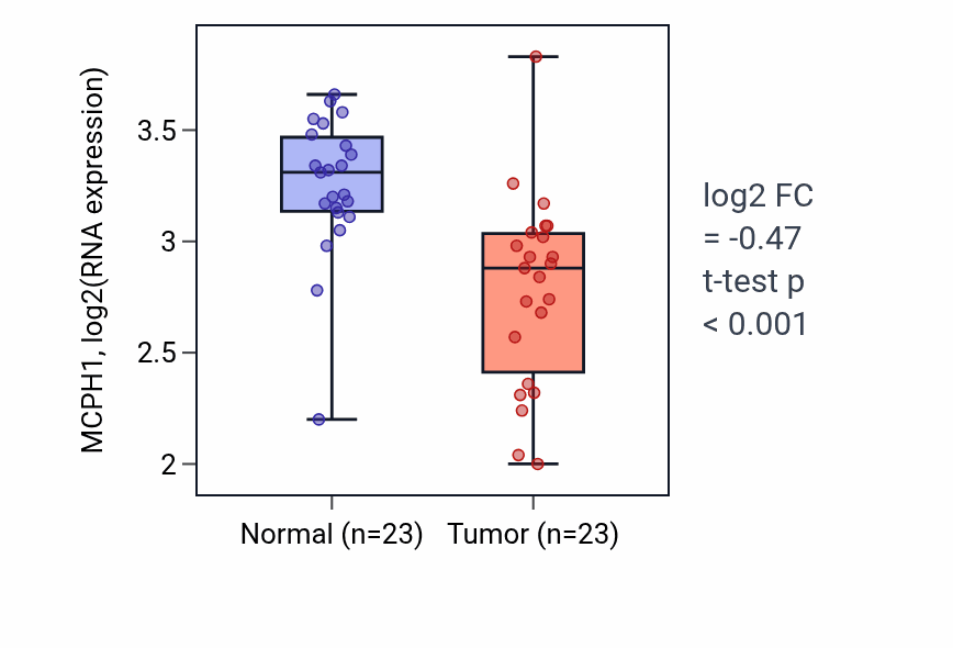 Tumor-vs-normal expression box plot for MCPH1 RNA in THCA.