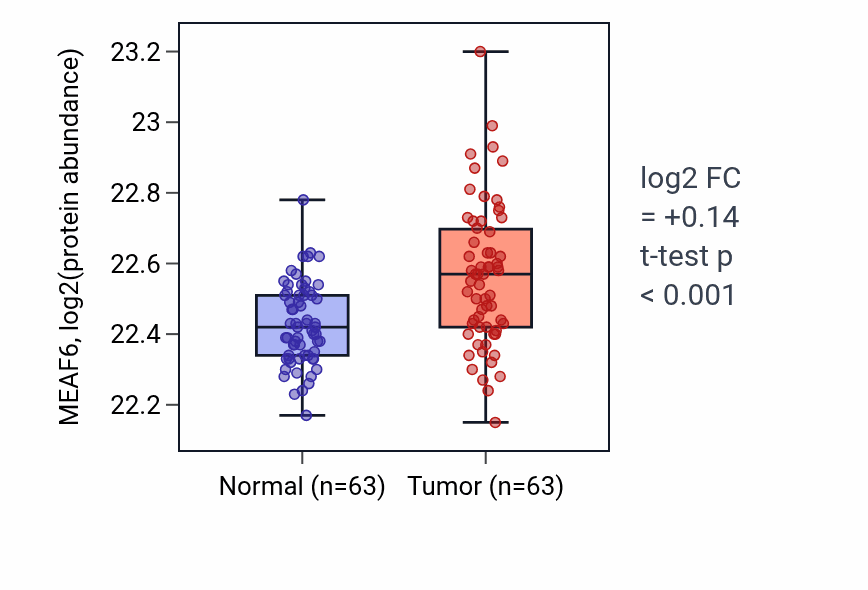 Tumor-vs-normal mass-spec protein box plot for MEAF6 in CCRCC.