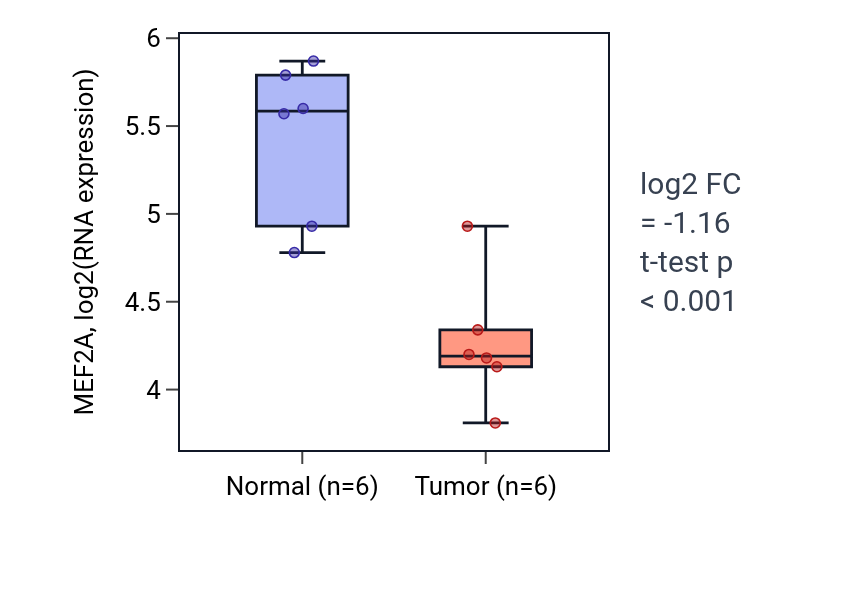 Tumor-vs-normal expression box plot for MEF2A in LUSC.