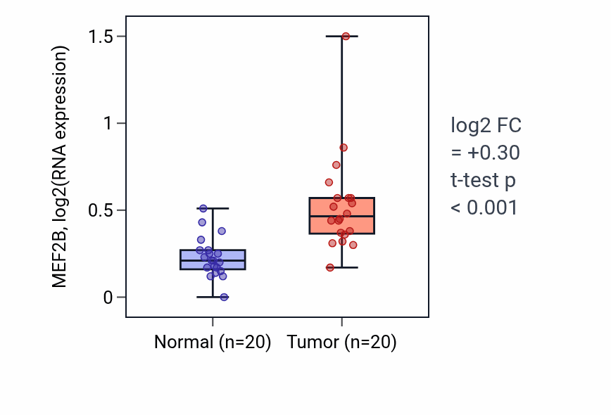 Tumor-vs-normal expression box plot for MEF2B in KIRC.