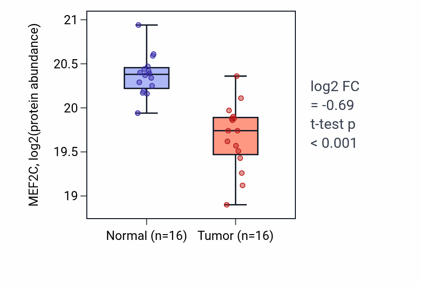 Tumor-vs-normal mass-spec protein box plot for MEF2C in LSCC.