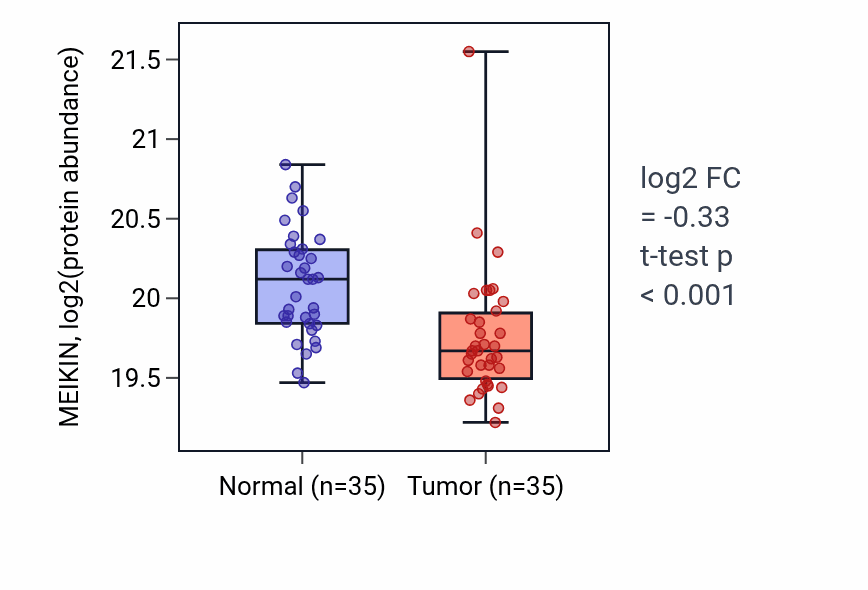 Tumor-vs-normal mass-spec protein box plot for MEIKIN in CCRCC.