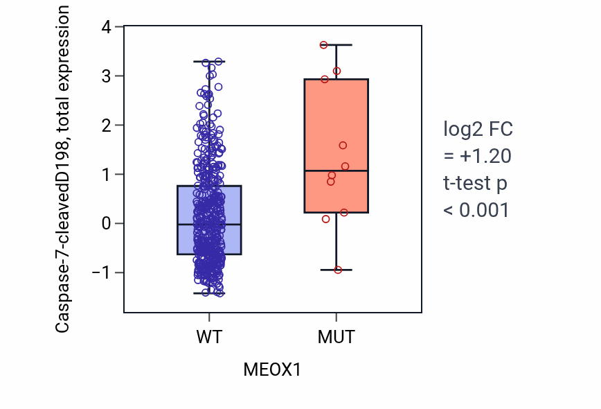 Box plot of Caspase-7-cleavedD198 in MEOX1-low vs MEOX1-high samples in UCEC.