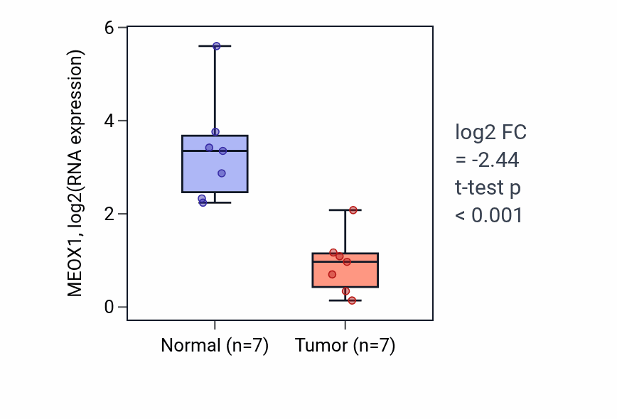 Tumor-vs-normal expression box plot for MEOX1 RNA in BLCA.