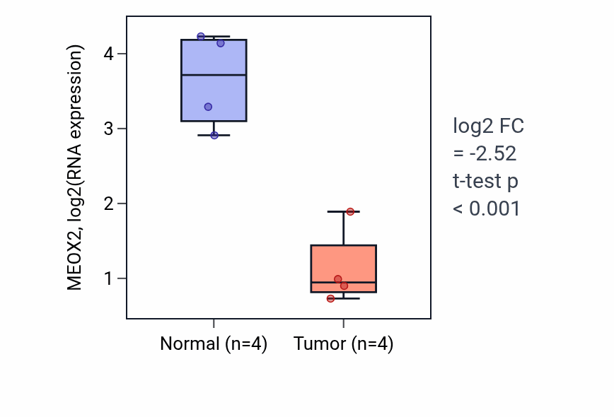 Tumor-vs-normal expression box plot for MEOX2 RNA in THCA.
