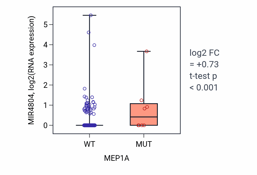 Box plot of MIR4804 in MEP1A-low vs MEP1A-high samples in LUAD.
