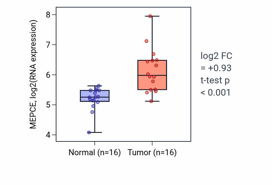 Tumor-vs-normal expression box plot for MEPCE RNA in HNSC.