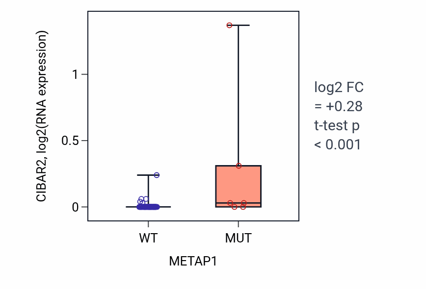 Box plot of CIBAR2 in METAP1-low vs METAP1-high samples in LARGE_INTESTINE.