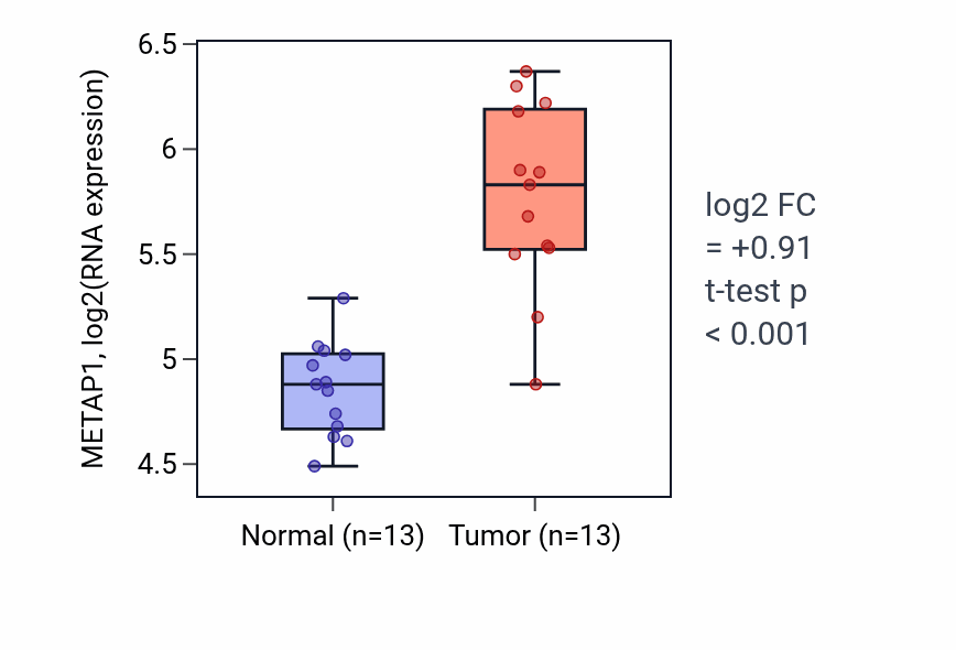 Tumor-vs-normal expression box plot for METAP1 RNA in LUAD.