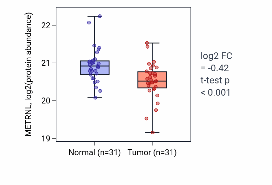 Tumor-vs-normal mass-spec protein box plot for METRNL in LUAD.