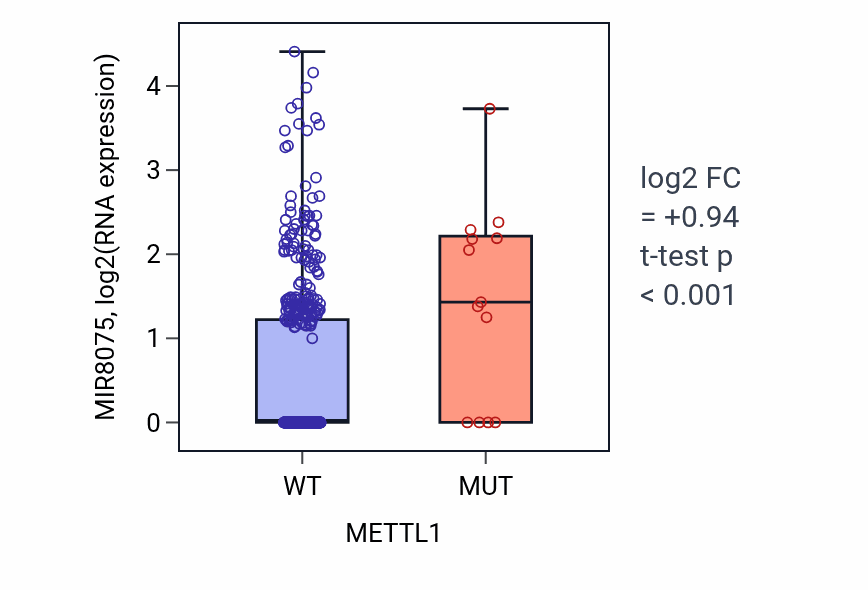 Box plot of MIR8075 in METTL1-low vs METTL1-high samples in UCEC.