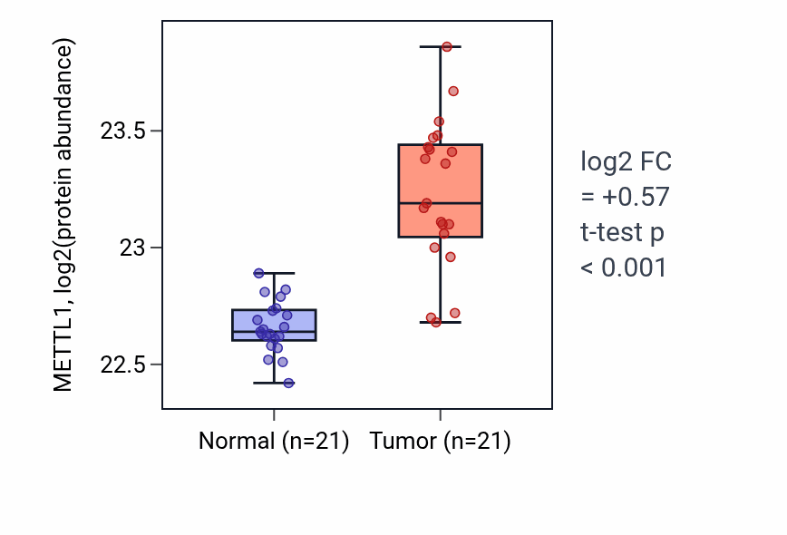 Tumor-vs-normal mass-spec protein box plot for METTL1 in HNSC.