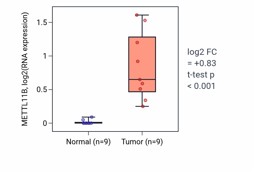Tumor-vs-normal expression box plot for METTL11B in HNSC.