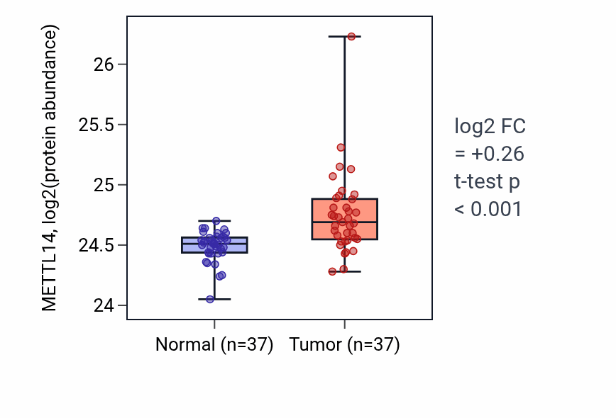 Tumor-vs-normal mass-spec protein box plot for METTL14 in LUAD.