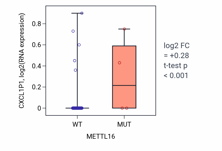 Box plot of CXCL1P1 in METTL16-low vs METTL16-high samples in READ.