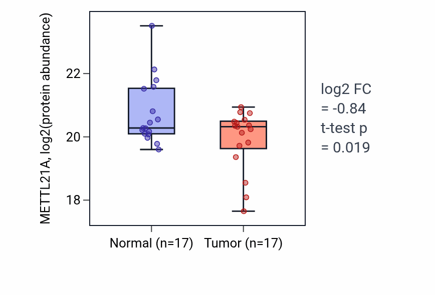 Tumor-vs-normal mass-spec protein box plot for METTL21A in HNSC.