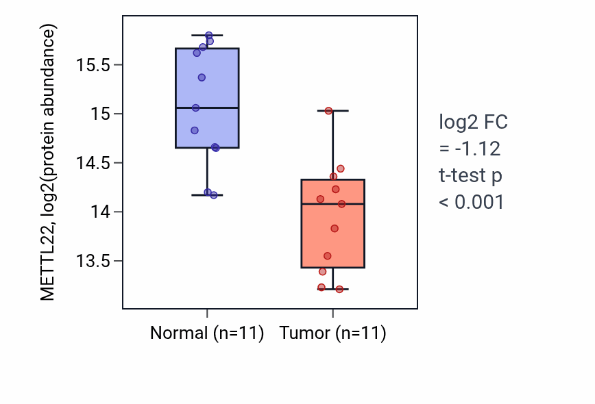 Tumor-vs-normal mass-spec protein box plot for METTL22 in HNSC.