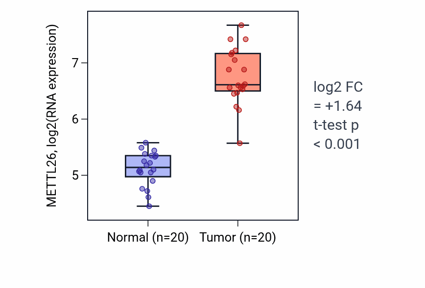 Tumor-vs-normal expression box plot for METTL26 RNA in KIRC.