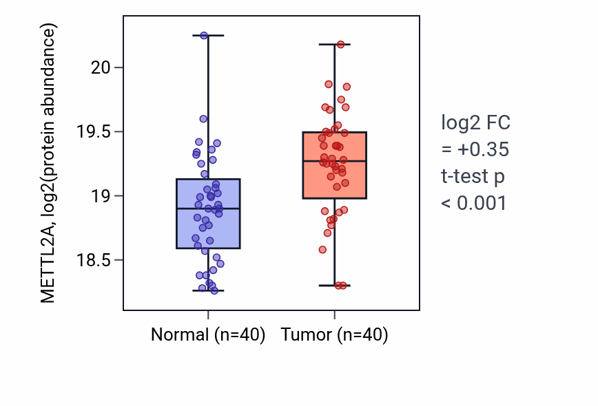 Tumor-vs-normal mass-spec protein box plot for METTL2A in LSCC.